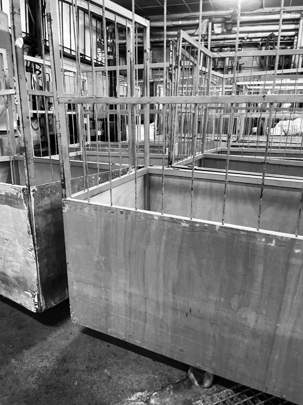 teinturerie textile alencon